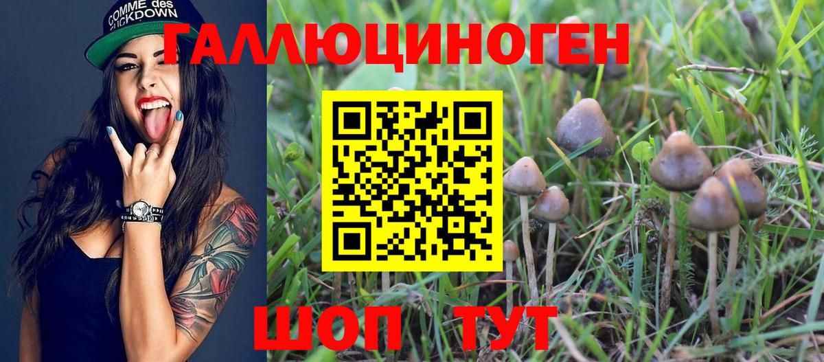 Галлюциногенные грибы мицелий Будённовск